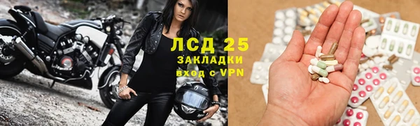 гидра Алексин