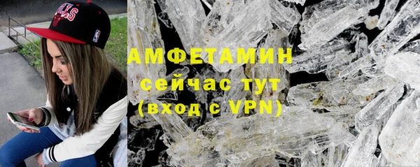 гидра Алексин