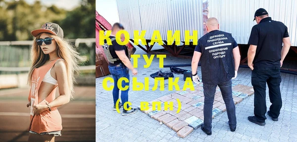 гидра Алексин