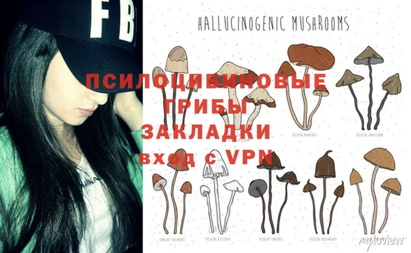 круглые Алексеевка
