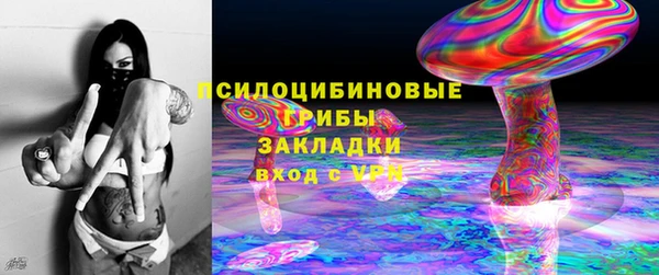 твердый Алзамай