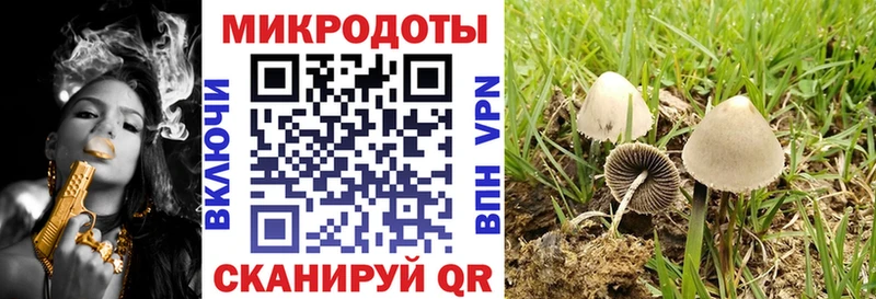 МЕГА tor  Арск  Псилоцибиновые грибы прущие грибы  купить наркотик 